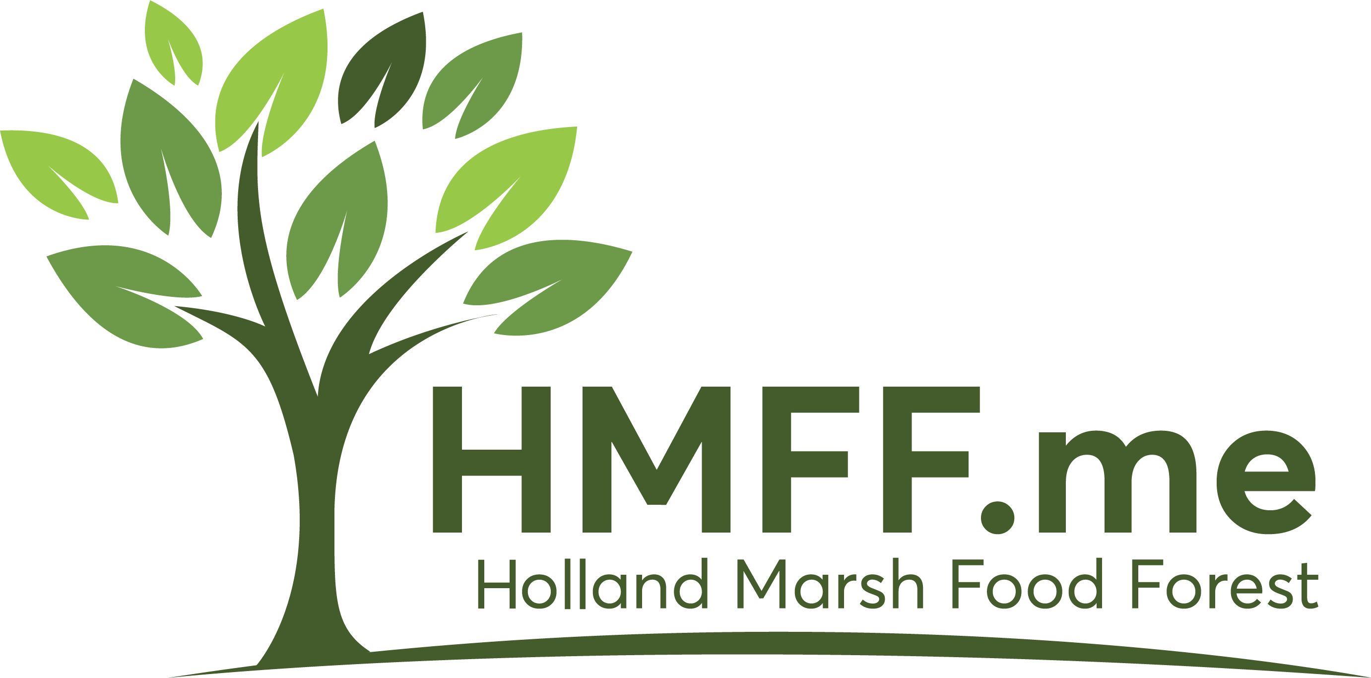 Seabuckthorn, Haskap, and Aronia | Holland Marsh Food Forest