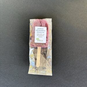 Wild Blueberry Banana Bar